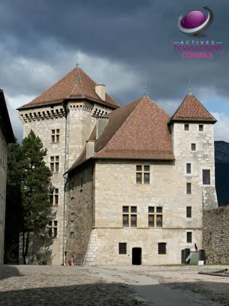 A VENDRE (74) RESTAURANT TERRASSE 