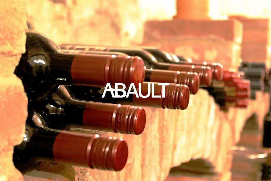 A VENDRE CAVE A VINS AGGLO TOULOUSE EST 160M2