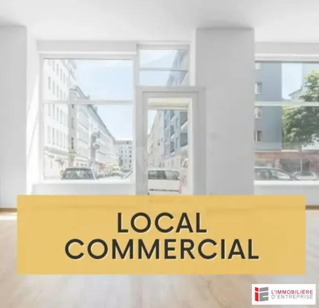 PLEURTUIT ZONE COMMERCIALE - LOCAL COMMERCIAL DE 1 068,92  M² A VENDRE