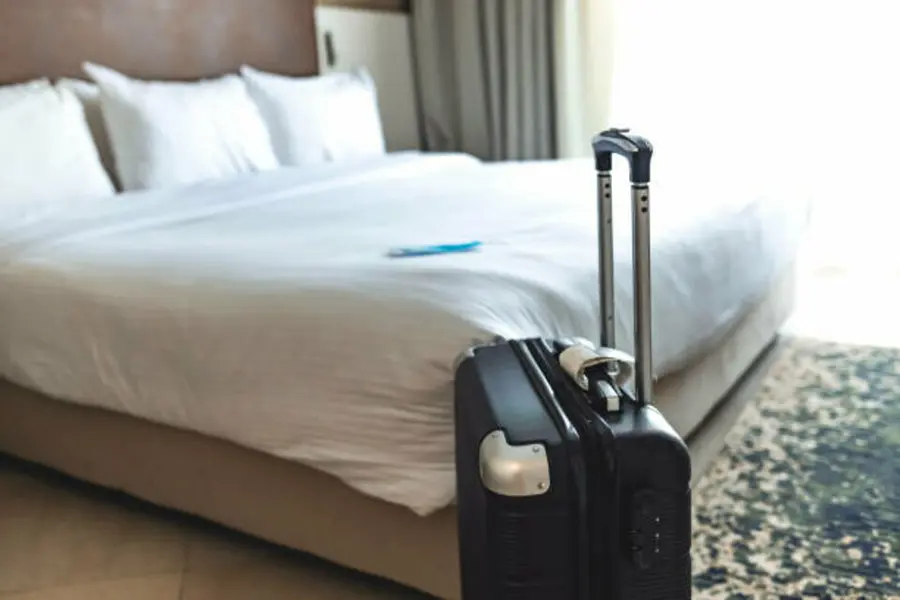 CESSION HOTEL 3* MURS ET FONDS