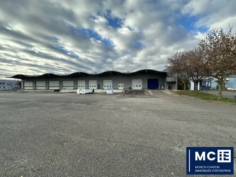 Entrepôt / Activité à vendre - Souffelweyersheim (67460) - 3000 m² - 4 500 000 €