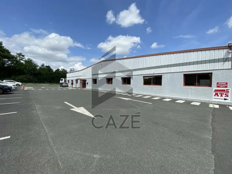 Entrepôt / Activité à louer - Cestas (33610) - 1586 m² - 11 234 €/mois