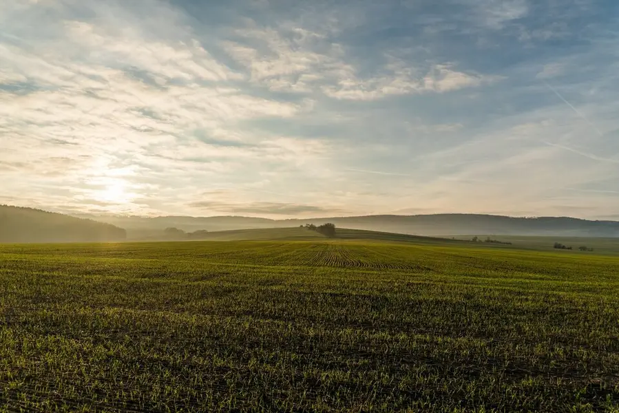 Terrain à vendre - Gironde-Sur-Dropt (33190) - 7408 m²