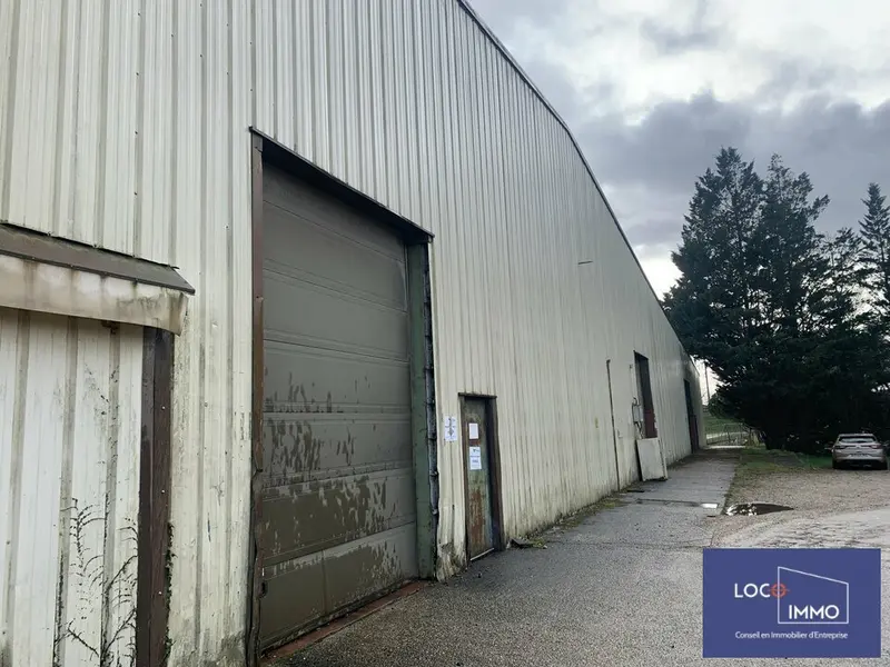 Entrepôt / Activité à louer - Podensac (33720) - 3400 m² - 11 300 €/mois