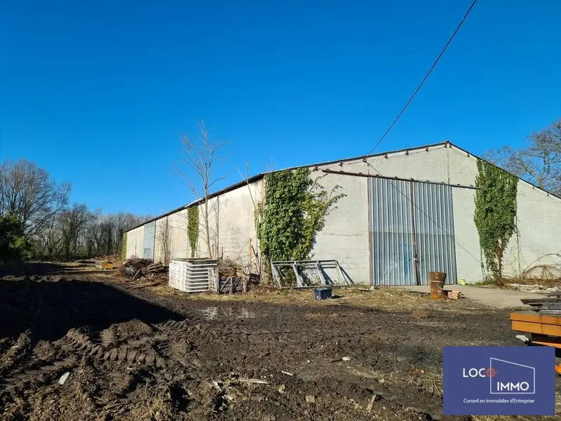 Entrepôt / Activité à vendre - Ambarès-Et-Lagrave (33440) - 1000 m² - 500 000 €