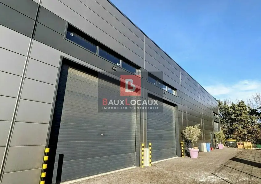 Entrepôt / Activité à louer - Aigues-Mortes (30220) - 300 m² - 3 000 €/mois