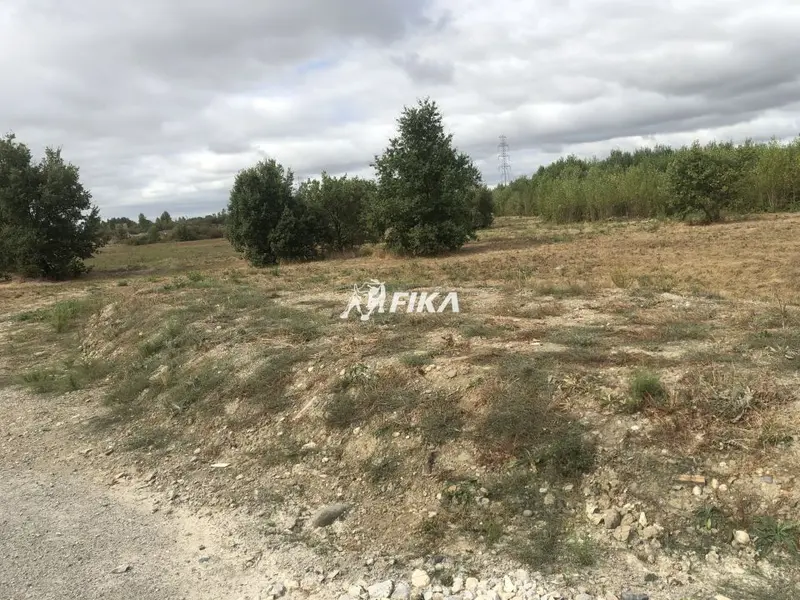 Terrain à vendre - Muret (31600) - 10000 m²