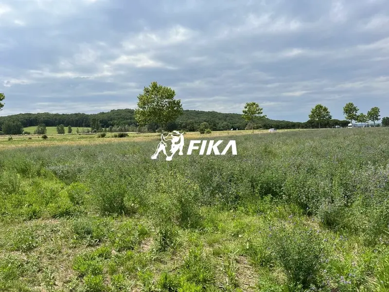 Terrain à vendre - Lavaur (81500) - 20000 m²