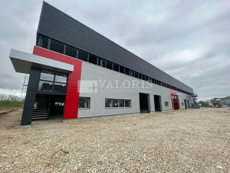 Entrepôt / Activité à louer - Dagneux (01120) - 3944 m² - 30 783 €/mois