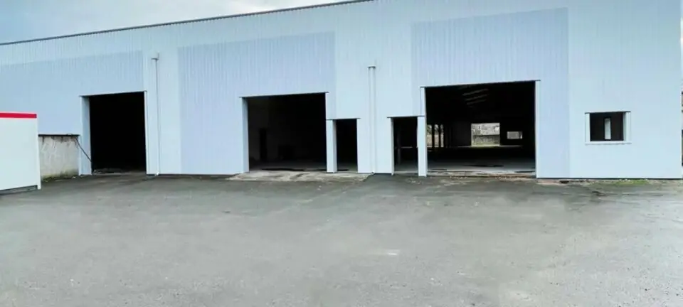 A vendre Locaux d'activité 1600m² Belleville