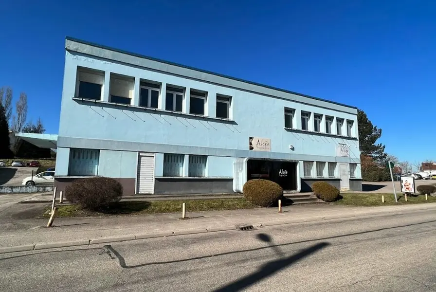 Entrepôt / Activité à vendre - Chantraine (88000) - 3000 m²