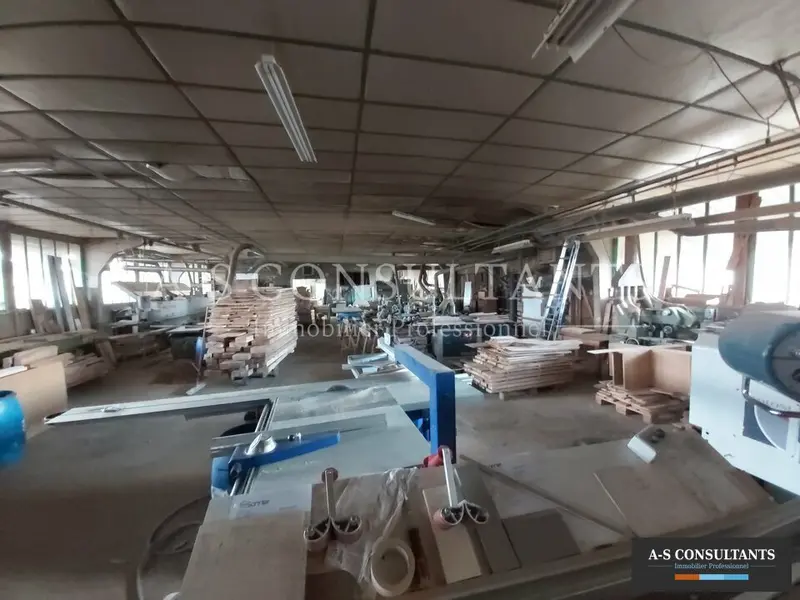 Entrepôt / Activité à vendre - Viriville (38980) - 1000 m²