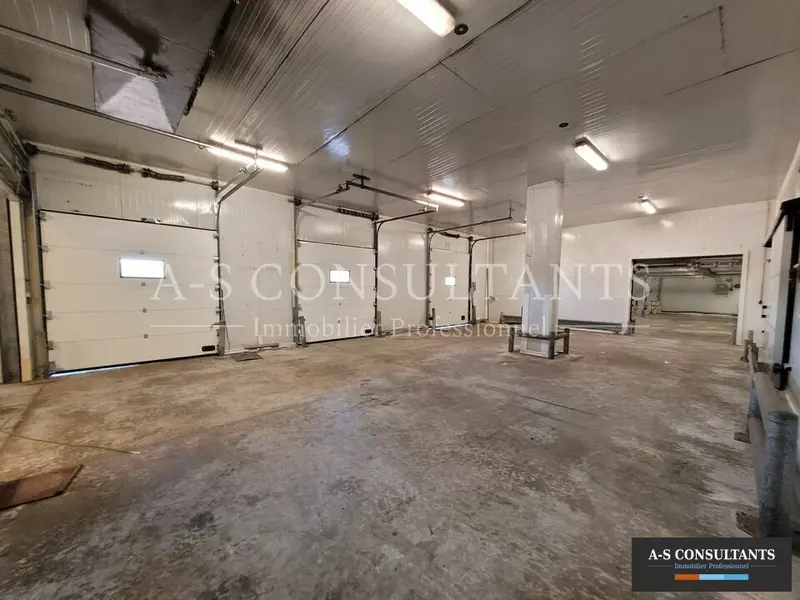 Entrepôt / Activité à louer - Saint-Symphorien-D'Ozon (69360) - 1000 m² - 12 ...