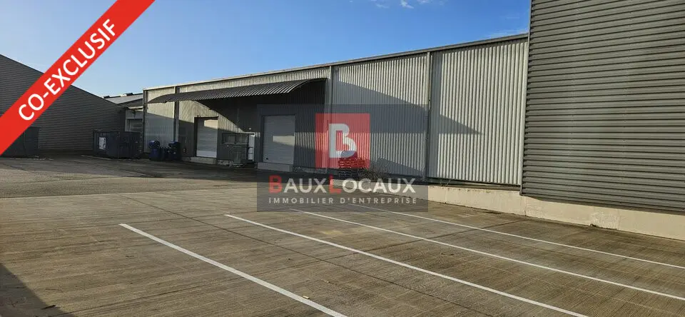 Entrepôt / Activité à vendre - Entraigues-Sur-La-Sorgue (84320) - 5097 m²