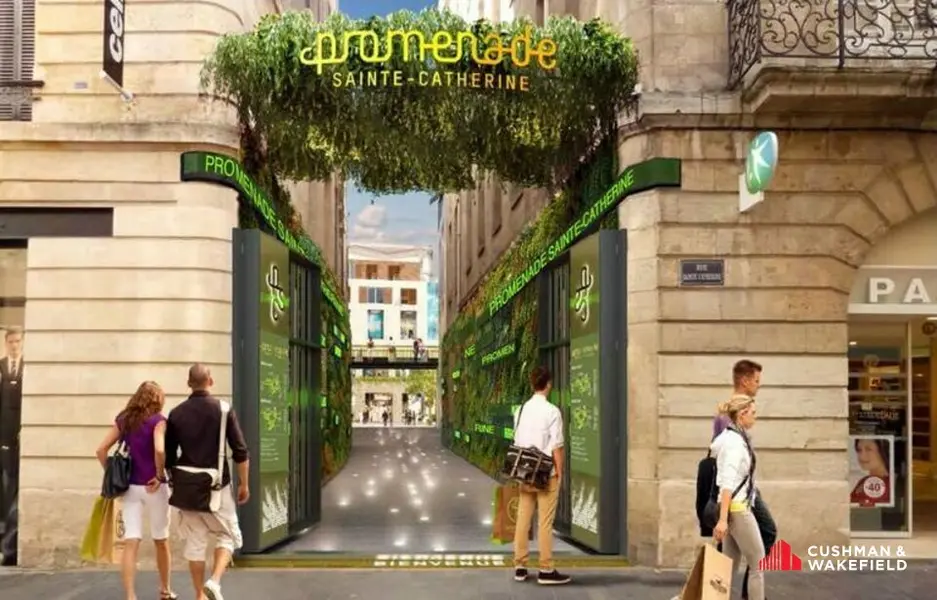 Local Commercial à louer - Bordeaux (33000) - 133 m² - 10 833 €/mois