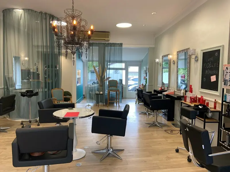 Local Commercial à vendre - Le Bouscat (33110) - 60 m² - 0 €