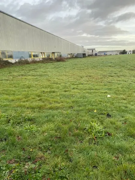 Entrepôt / Activité à vendre - Saint-Aignan-Grandlieu (44860) - 13000 m²