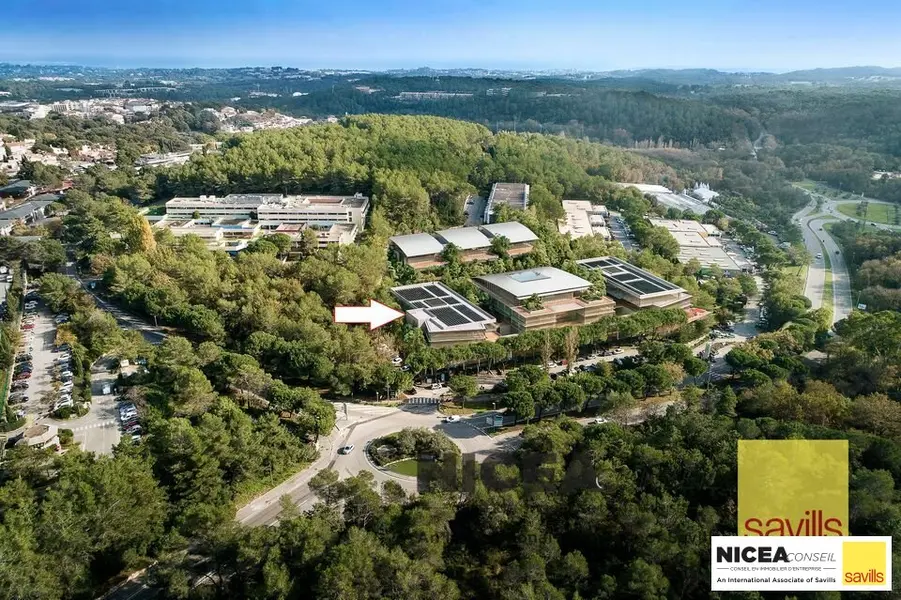 Bureau à louer - Valbonne (06560) - 3000 m²