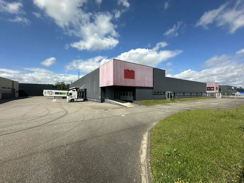 Entrepôt / Activité à louer - Illkirch-Graffenstaden (67400) - 3815 m² - 14 3...