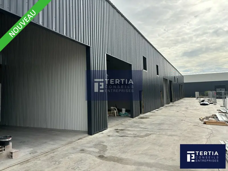 Entrepôt / Activité à louer - Vendargues (34740) - 260 m² - 2 300 €/mois