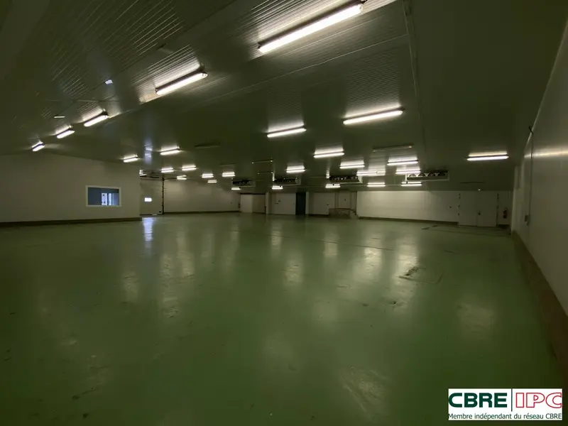 Entrepôt / Activité à louer - Bayonne (64100) - 790 m² - 6 500 €/mois