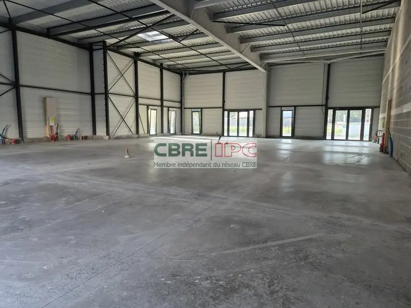Entrepôt / Activité à louer - Pau (64000) - 234 m² - 1 755 €/mois
