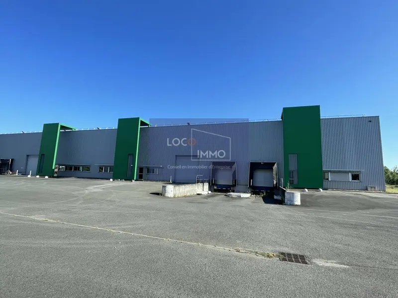 Entrepôt / Activité à louer - Blanquefort (33290) - 1690 m² - 12 500 €/mois