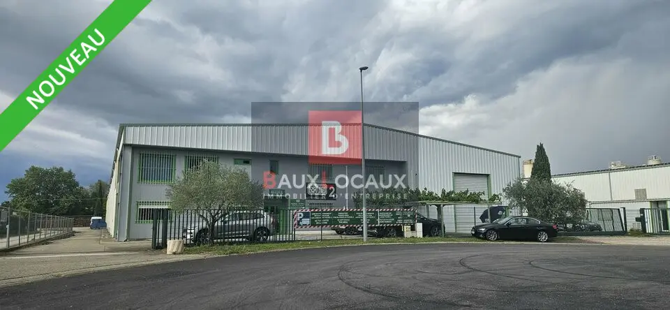Entrepôt / Activité à louer - Monteux (84170) - 4100 m² - 18 791 €/mois