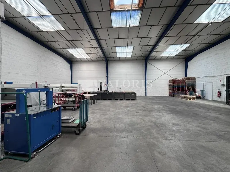 Entrepôt / Activité à louer - Champagne-Au-Mont-D'Or (69410) - 501 m² - 4 257...