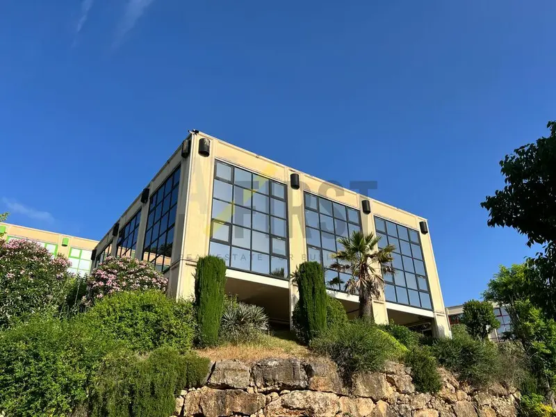 Bureau à louer - Vallauris (06220) - 147 m² - 1 531 €/mois