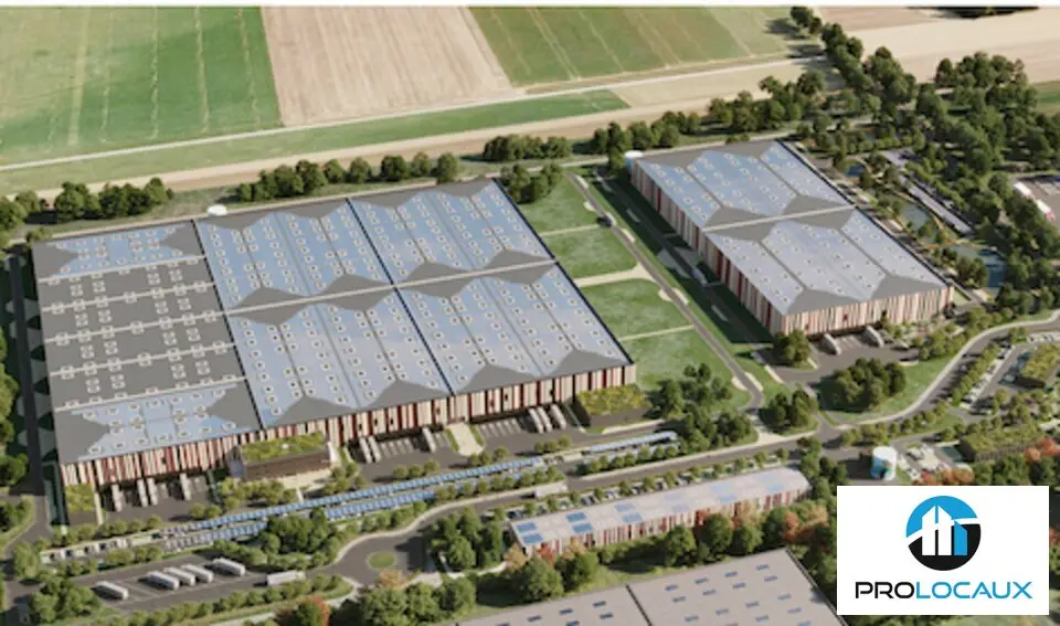 Entrepôt / Activité à louer - Fresnoy-Lès-Roye (80700) - 25646 m² - 121 916 €...