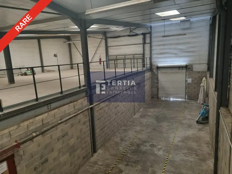 Entrepôt / Activité à louer - Montferrier-Sur-Lez (34980) - 850 m² - 6 250 €/...