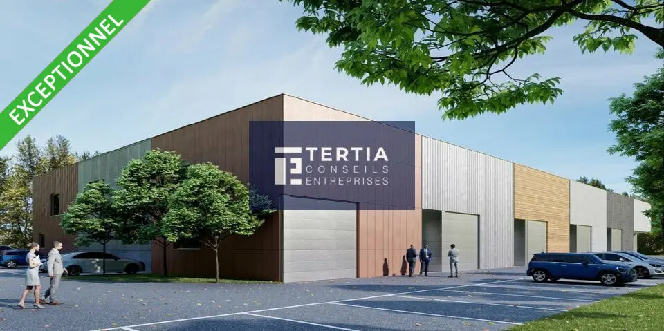 Entrepôt / Activité à louer - Bessan (34550) - 4771 m² - 43 734 €/mois