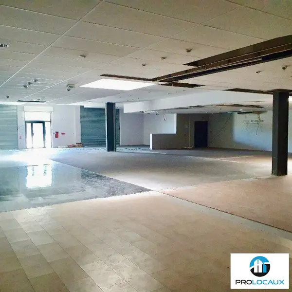 Local Commercial à louer - Fontanil-Cornillon (38120) - 463 m² - 6 029 €/mois