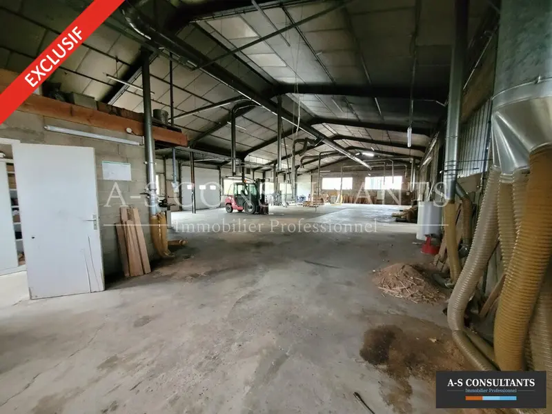 Entrepôt / Activité à vendre - Moras-En-Valloire (26210) - 690 m²