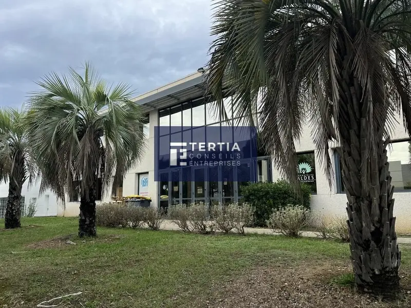 Entrepôt / Activité à louer - Montpellier (34080) - 720 m² - 8 325 €/mois