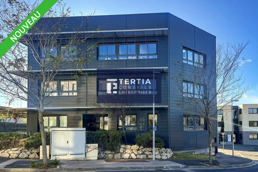 Bureau à louer - Montpellier (34080) - 290 m² - 4 125 €/mois