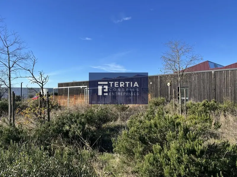 Bureau à vendre - Vendargues (34740) - 439 m²