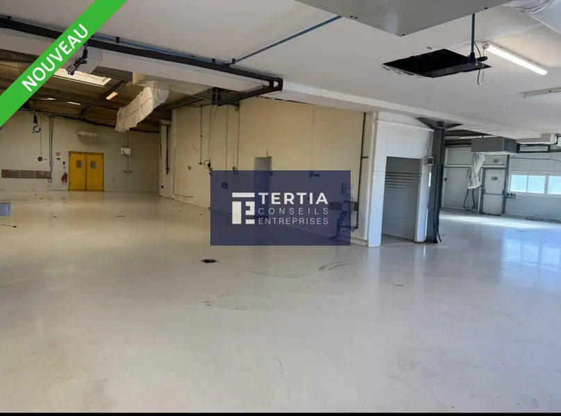 Entrepôt / Activité à vendre - Frontignan (34110) - 2412 m²