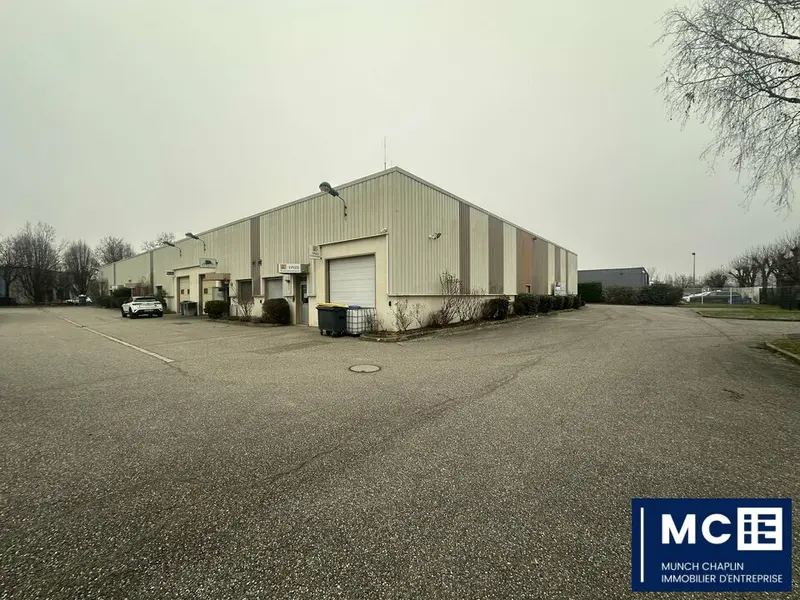 Entrepôt / Activité à louer - Schiltigheim (67300) - 320 m² - 2 500 €/mois