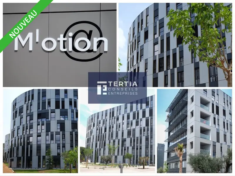 Bureau à louer - Montpellier (34000) - 245 m² - 3 675 €/mois