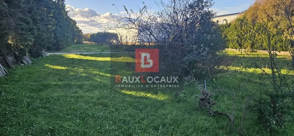 Terrain à louer - Carpentras (84200) - 7550 m² - 9 060 €/mois
