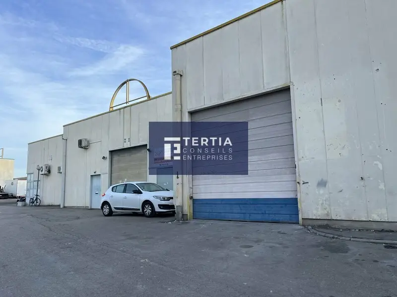 Entrepôt / Activité à louer - Saint-Jean-De-Védas (34430) - 192 m² - 1 568 €/...