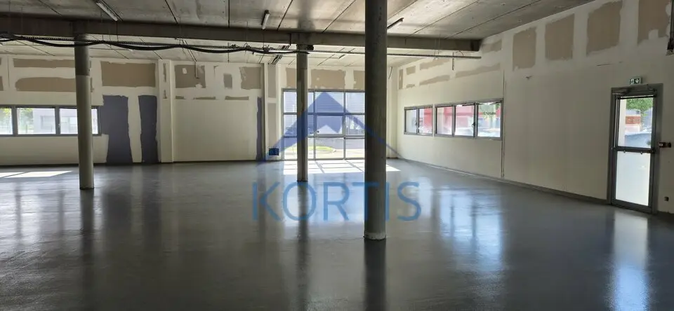 Entrepôt / Activité à louer - Saint-Priest (69800) - 1631 m² - 19 166 €/mois