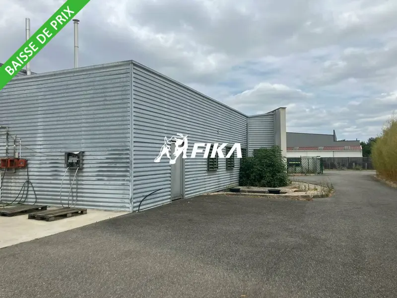 Entrepôt / Activité à vendre - Fontenilles (31470) - 650 m²