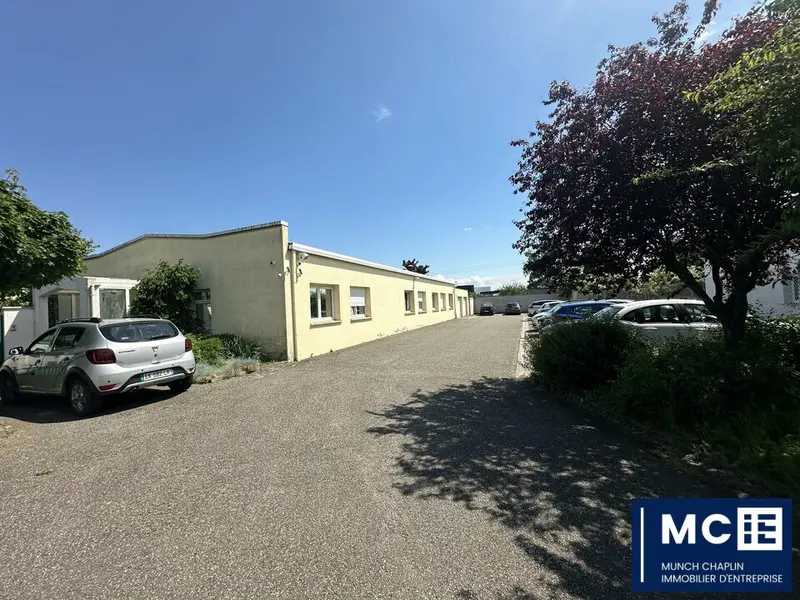 Bureau à vendre - Molsheim (67120) - 568 m²
