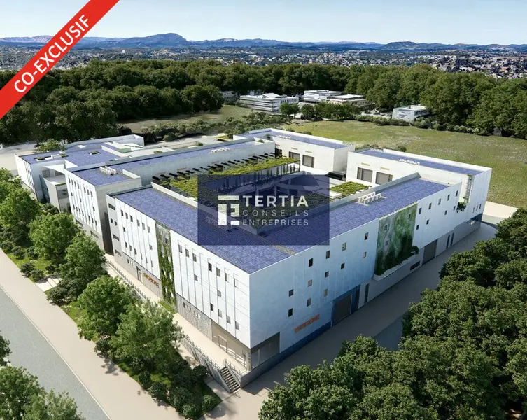 Entrepôt / Activité à louer - Castelnau-Le-Lez (34170) - 4021 m² - 43 603 €/mois