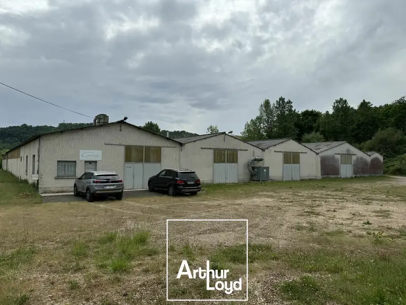 Entrepôt / Activité à vendre - Terrasson-Lavilledieu (24120) - 3800 m²