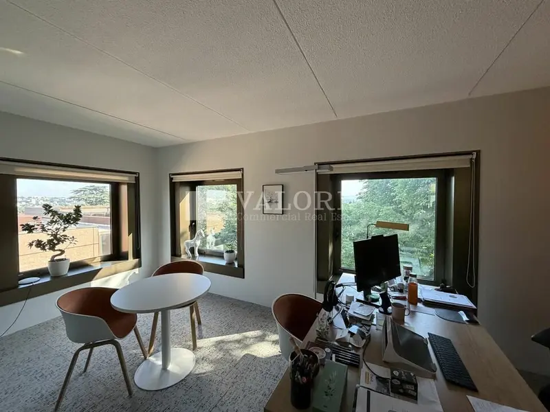 Bureaux à vendre au cur du Parc Européen d'Ecully.