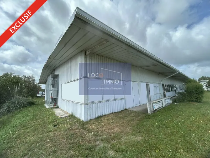 A louer Locaux d'activité 250m² Le Haillan